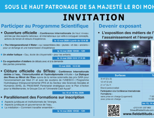 Synthèse des séquences de la 9eme édition du SiTeau